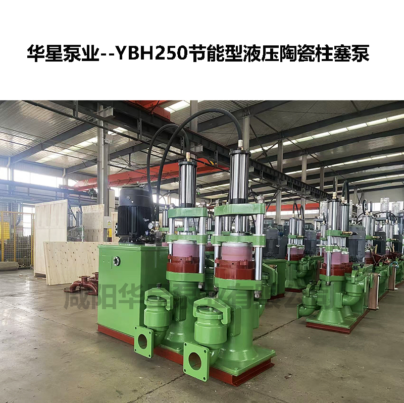 化工業(yè)污水處理壓濾機專用柱塞泵